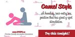 Camel style sex position 💖 Spicy Sex Position Guide - Porn P